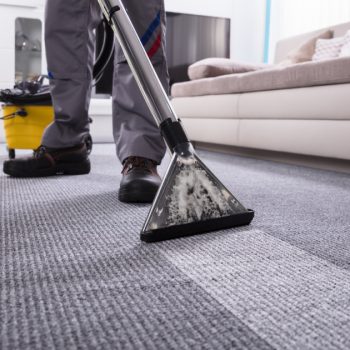 Best Carpet Cleaning Websites