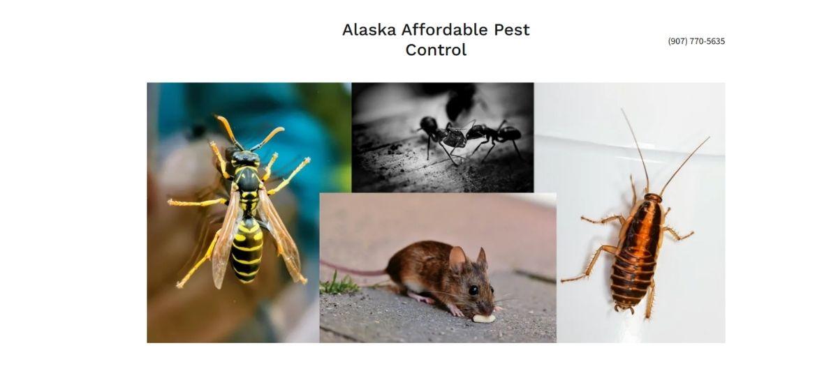 Collage of common pests (wasp, ant, mouse, cockroach) for Alaska Affordable Pest Control