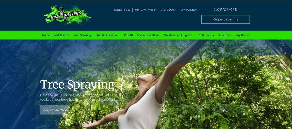 Hero image promoting tree spraying: a person spraying trees in a lush green forest.