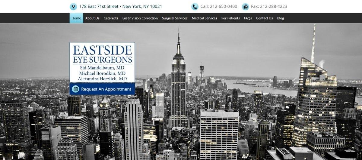 Black-and-white city skyline hero with Eastside Eye Surgeons logo and a blue 'Request An Appointment' button.