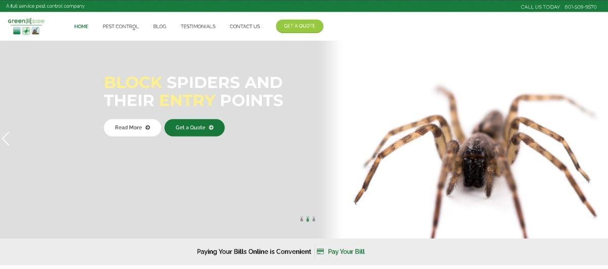 Split hero: left panel shows a pest-control headline and two buttons, while the right side shows a close-up brown spider on a white background.