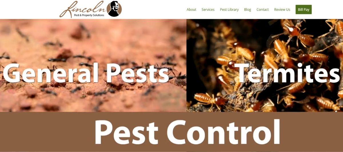 Split hero banner for Lincoln Pest & Property Solutions: left panel says General Pests, right panel Termites, with a large Pest Control wordmark below. Logo and navigation visible at top.