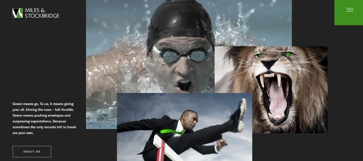 Collage of three action photos: a swimmer in goggles, a roaring lion, and a businessman leaping over a hurdle on a dark website hero background.