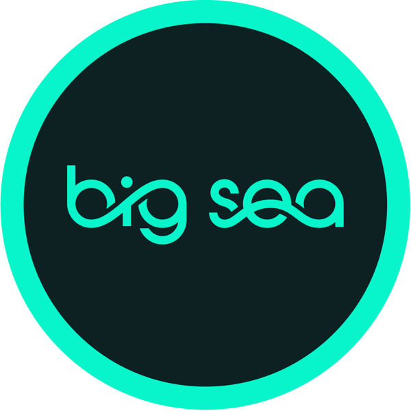 Big Sea logo