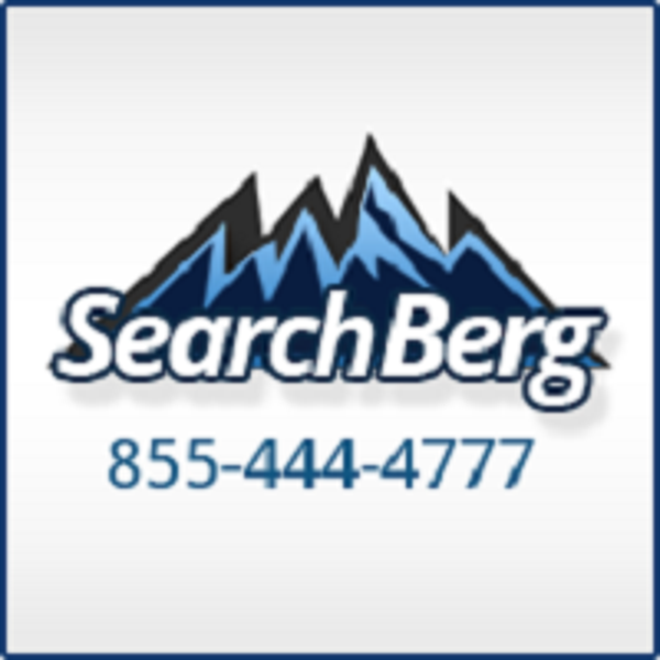 Search Berg logo