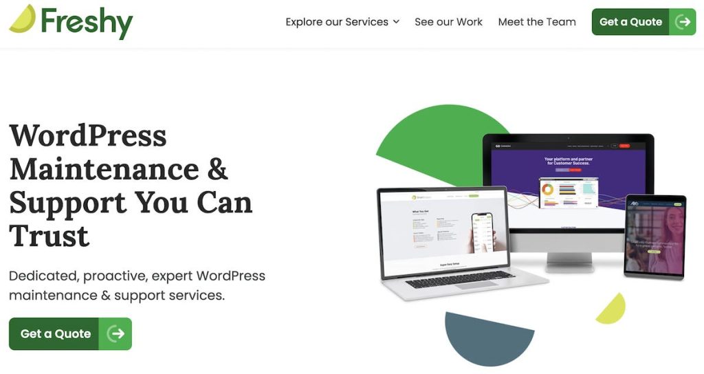 Freshy is one of the best WordPress maintenance agencies.