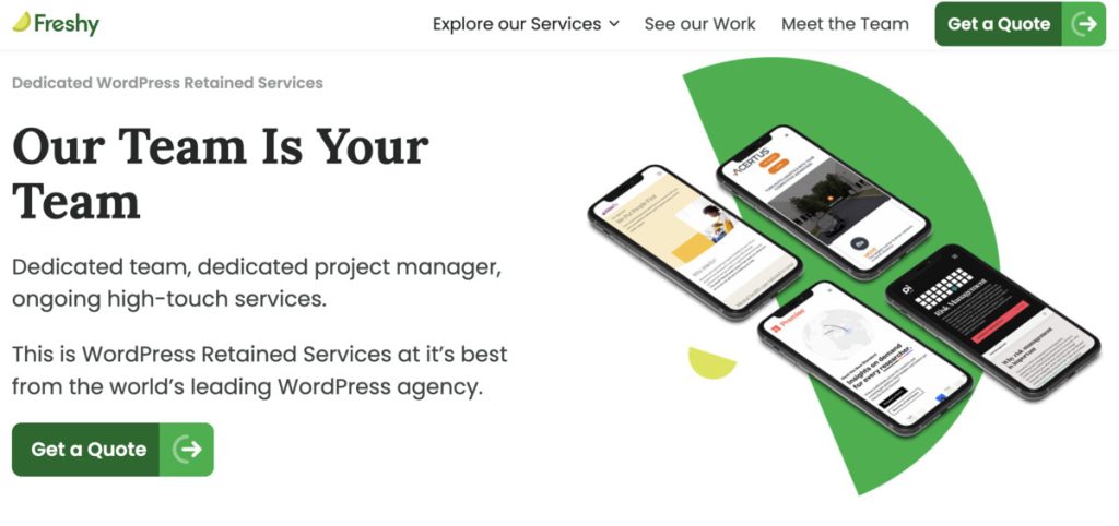 Hire a WordPress design consultant at Freshy