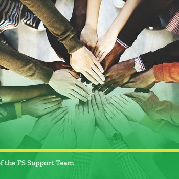 Meet the members of the FS support team