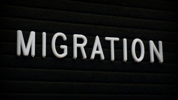 White 3D letters spell the word MIGRATION on a dark, ribbed background.