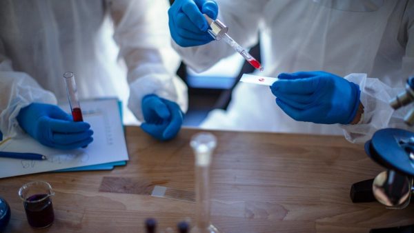 Scientists in lab coats and blue gloves pipette a red liquid onto a glass slide during an experiment at a lab bench.