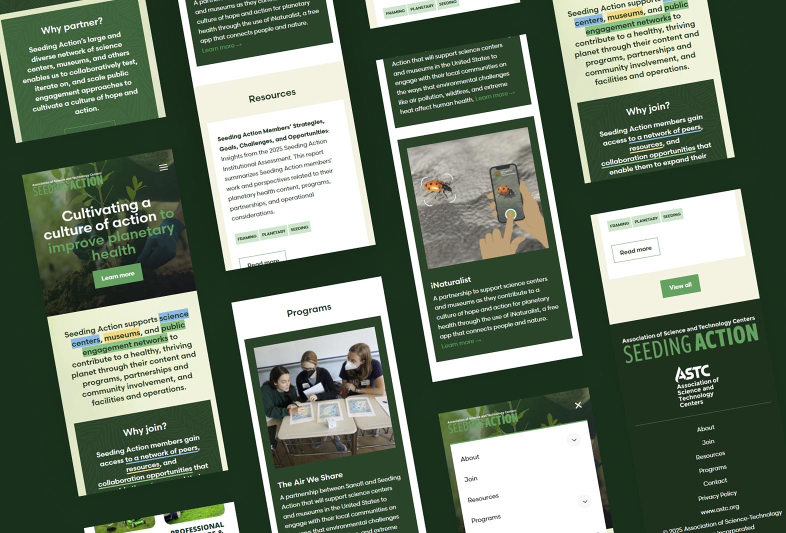 seeding action multiple mockups