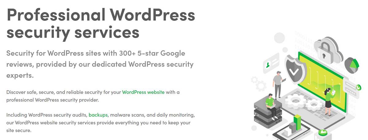 WordPress security services example