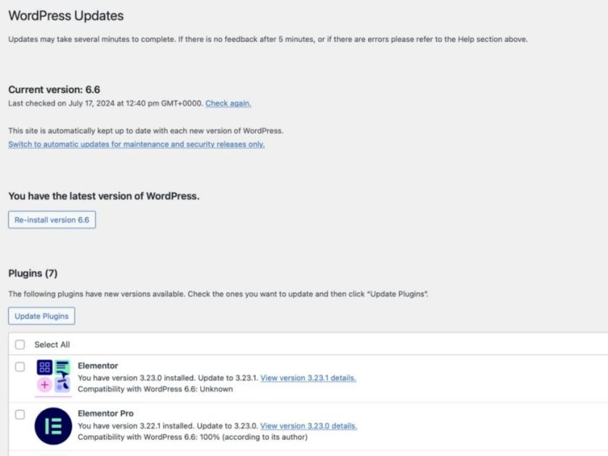 WordPress Updates admin page showing current version 6.6, latest version status, and plugin updates list.