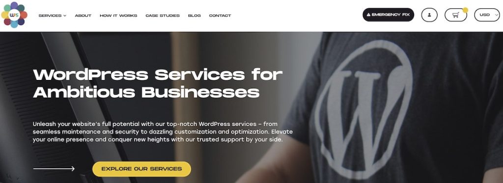 WP Services is a WordPress agency.