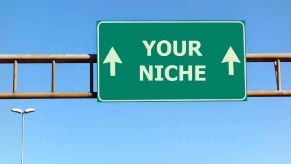 Green highway sign reading 'YOUR NICHE' with upward arrows, mounted on a metal overpass against a blue sky (informational, about choosing a niche).